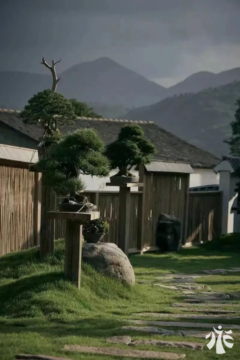 图片112.png