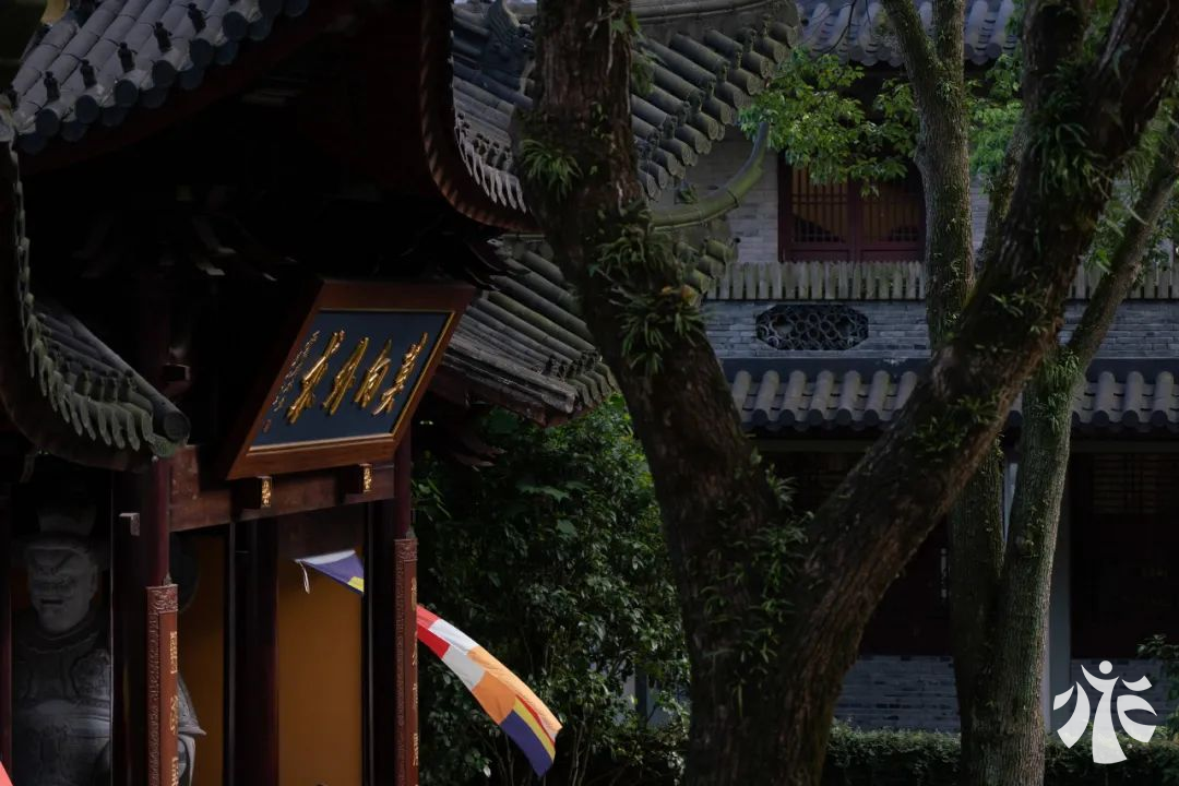 图片119.png