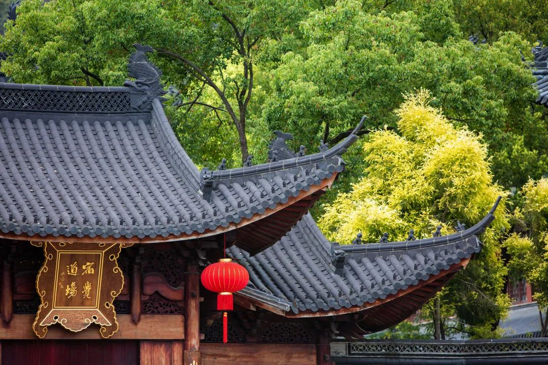 通知 | 妙智讲堂招生截止
